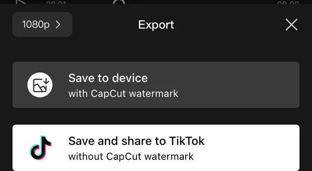 Delete the CapCut Video Watermark