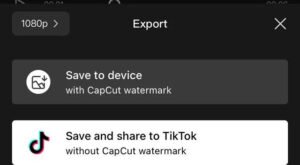 capcut watermark remover